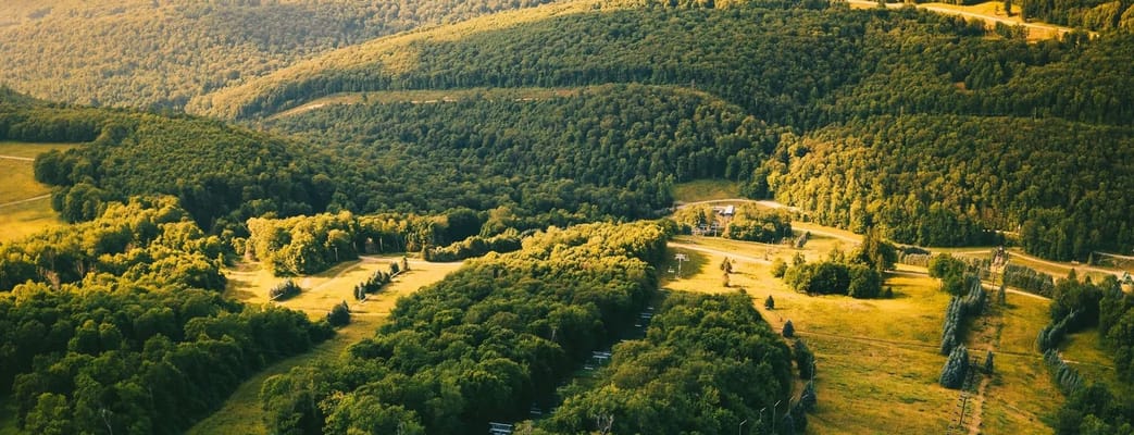 The Wynwood House at State College