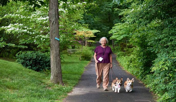 Foulkeways at Gwynedd