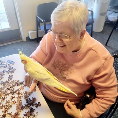 Resident enjoying a puzzle with a bird on her arm