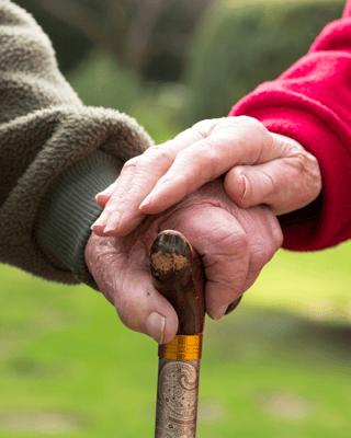 Two elderly hands resting on a cane in a garden