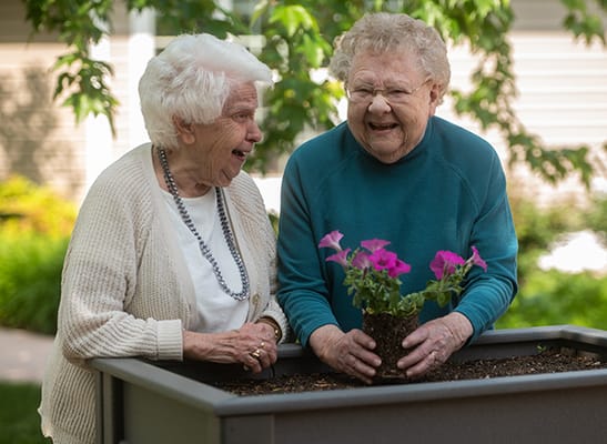 Two residents gardening in an outdoor space