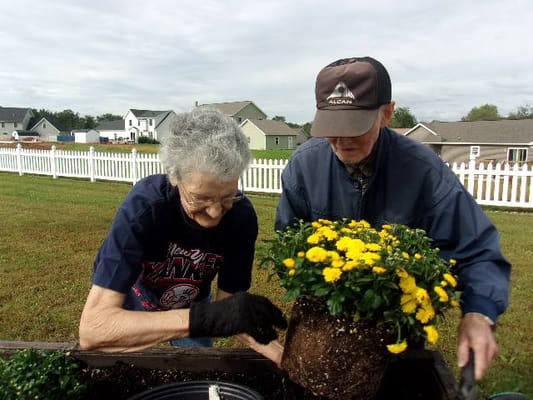 Residents gardening together in an outdoor space