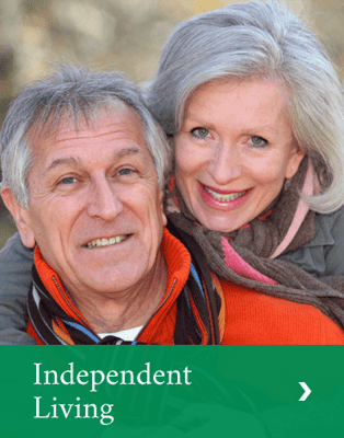 The Village at Morrisons Cove