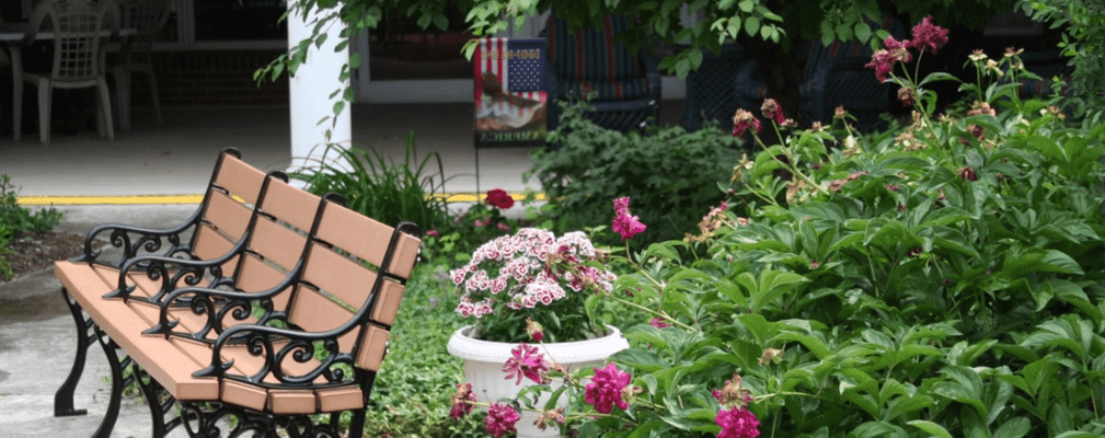 Garden area with vibrant flowers and seating