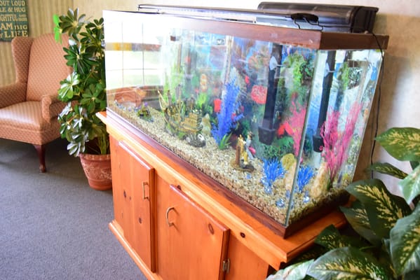 A colorful aquarium in a community common area