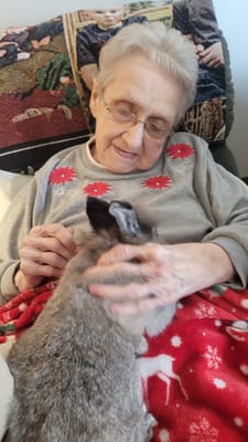 Senior woman petting a rabbit in a cozy setting