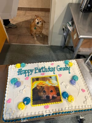 A birthday cake decorated for Grady with a dog in the background