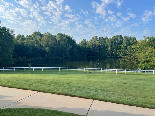 Beautiful outdoor view of a serene pond and greenery