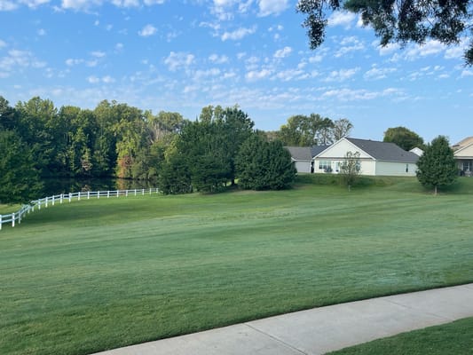 A serene outdoor space with green lawns and trees