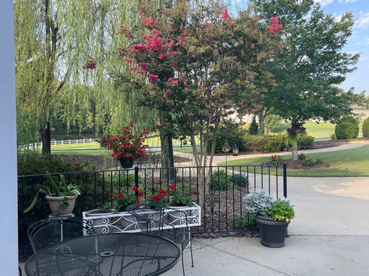 Beautiful outdoor space with colorful flowers and seating