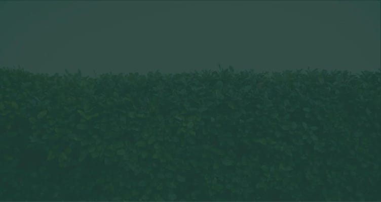 English Meadows – Indian Land Campus