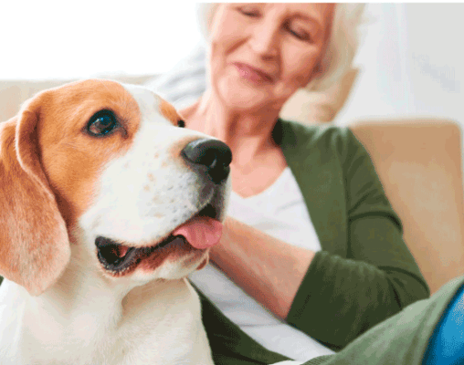A happy resident interacting with a dog