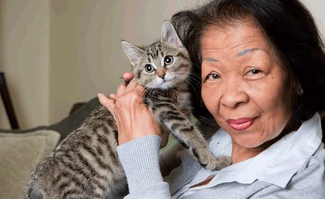An elderly woman holding a kitten in a cozy setting