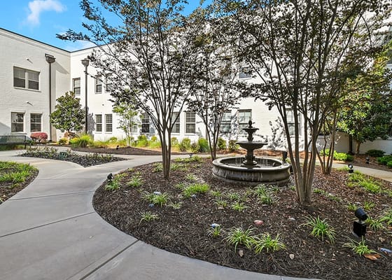 Quiet outdoor garden with a fountain surrounded by greenery