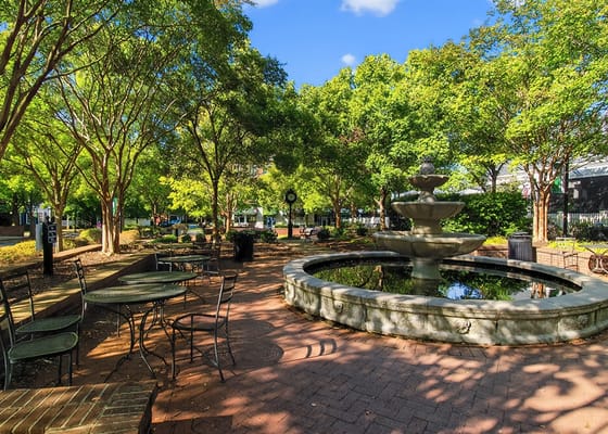 Beautiful outdoor garden area with a fountain
