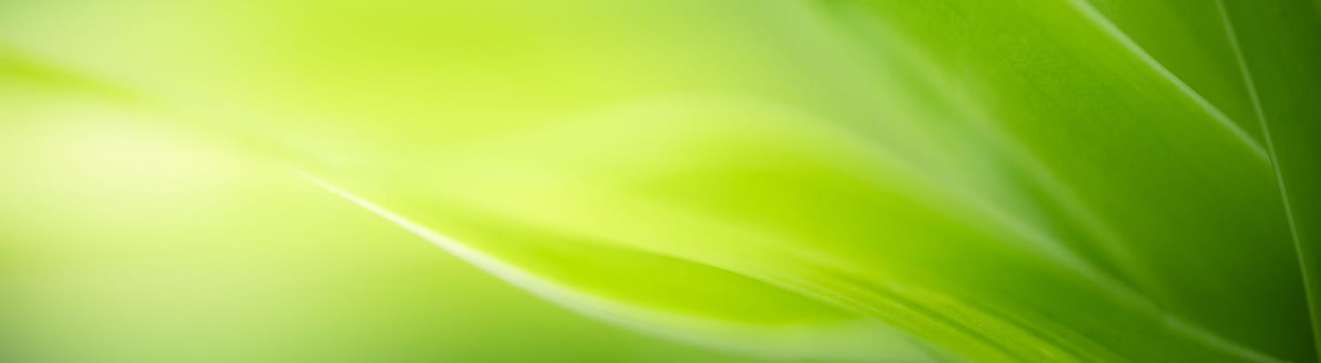 Restoration at Simpsonville