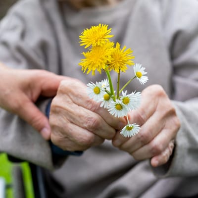 Restoration at Simpsonville