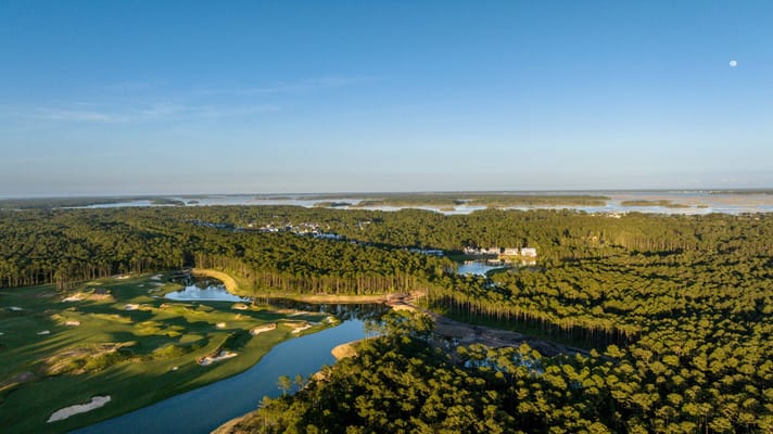 Palmettos of Bluffton