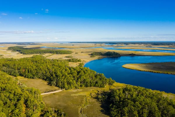 Palmettos of Bluffton