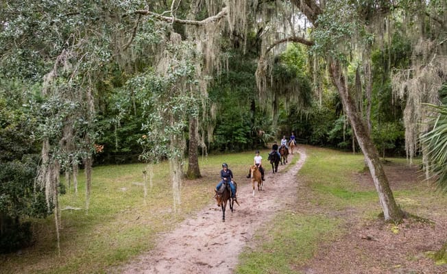 Palmettos of Bluffton