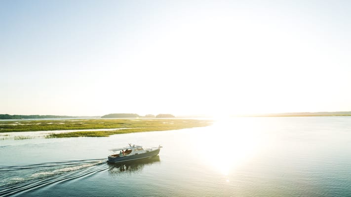 Palmettos of Bluffton