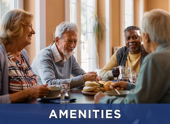 Seniors enjoying a meal together in a bright setting
