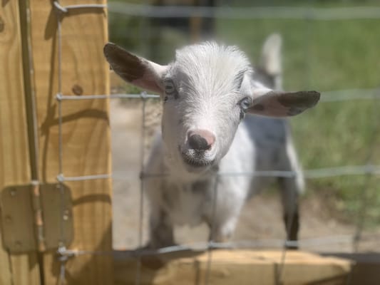 Waypoint Recovery Center