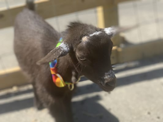 Waypoint Recovery Center