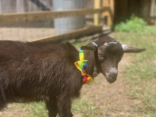 Waypoint Recovery Center