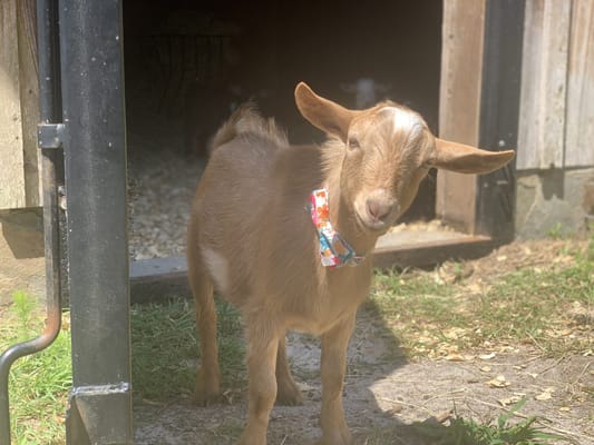 Waypoint Recovery Center