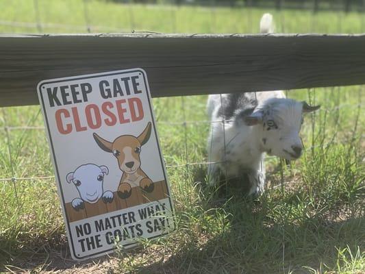 Waypoint Recovery Center