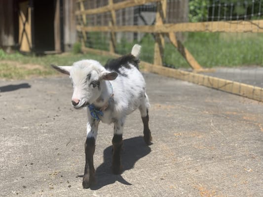 Waypoint Recovery Center