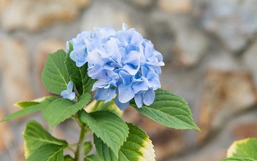 Waypoint Recovery Center