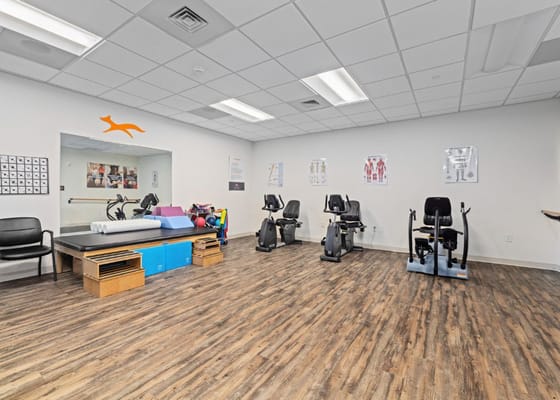 Bright physical therapy room with exercise equipment