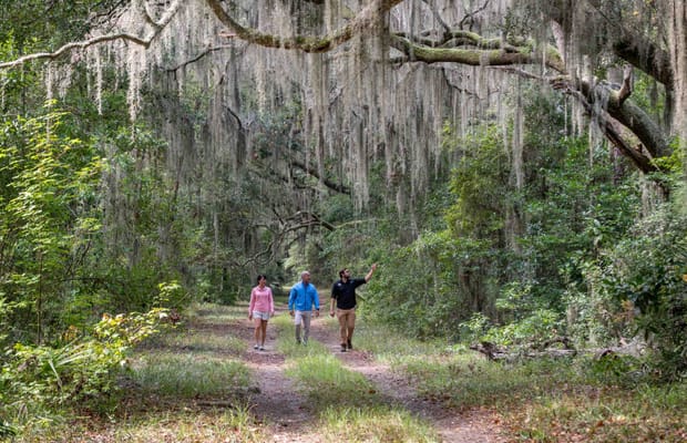 Palmettos of Bluffton