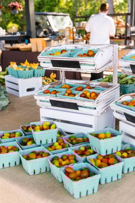 Palmettos of Bluffton