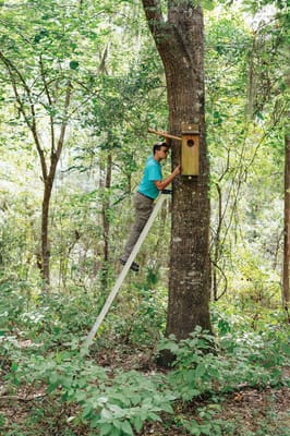 Palmettos of Bluffton