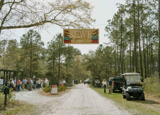 Palmettos of Bluffton