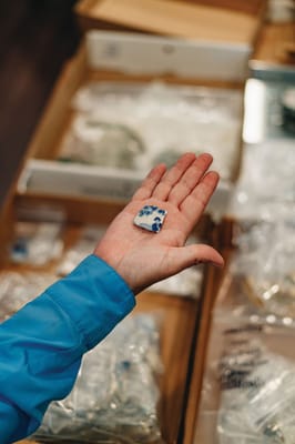 Palmettos of Bluffton