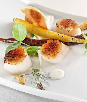 Bishop Gadsden-Gadsden Glen Center for Health and Rehab