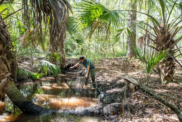 Palmettos of Bluffton