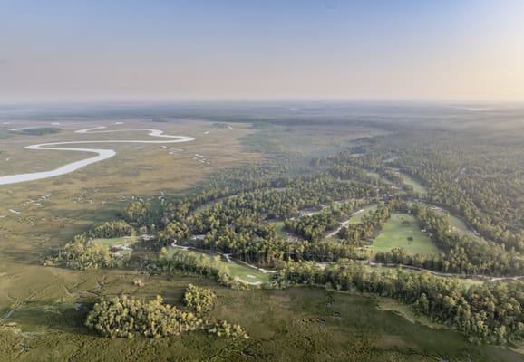 Palmettos of Bluffton