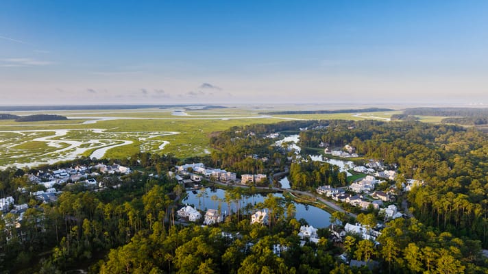 Palmettos of Bluffton