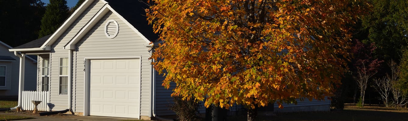 Maples of Honea Path
