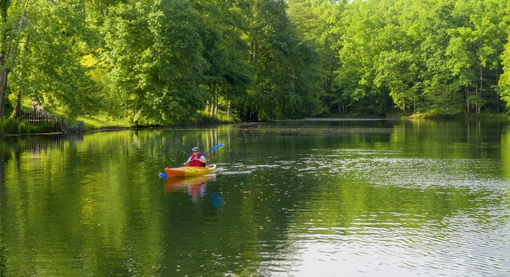 A resident kayaking on a serene lake surrounded by greenery