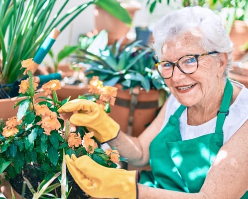 Senior woman gardening with orange flowers