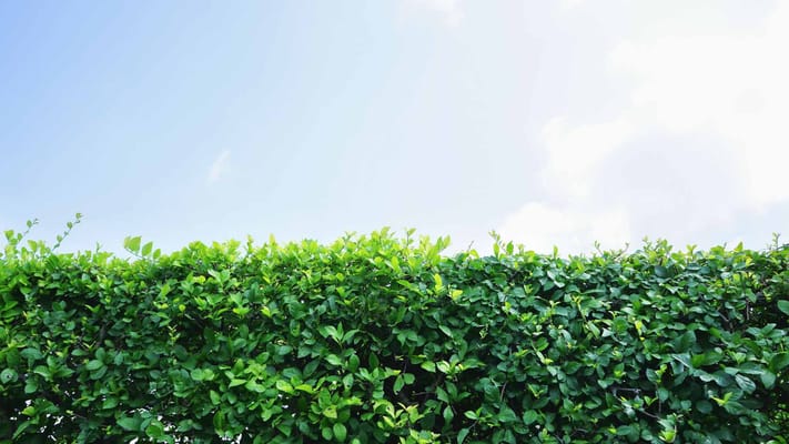 Kirby Gate Senior Living Facility