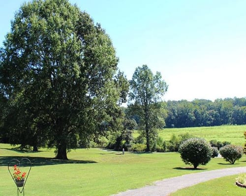 A scenic view of grassy outdoor space with trees