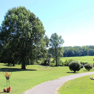 Serene outdoor space with green lawn and trees