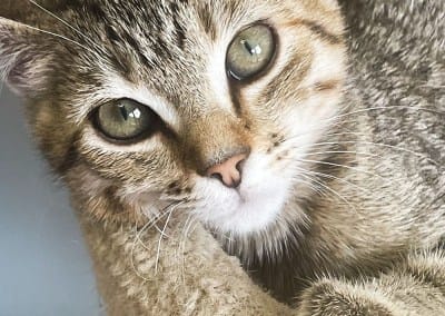 Martin-Boyd Christian Home